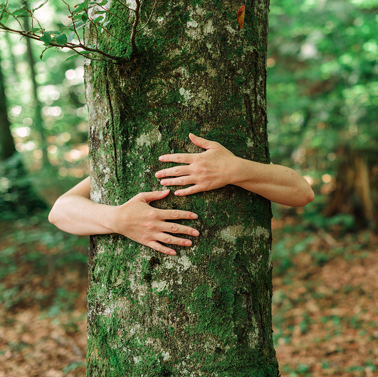 Fotografia de uma pessoa a abraçar uma árvore