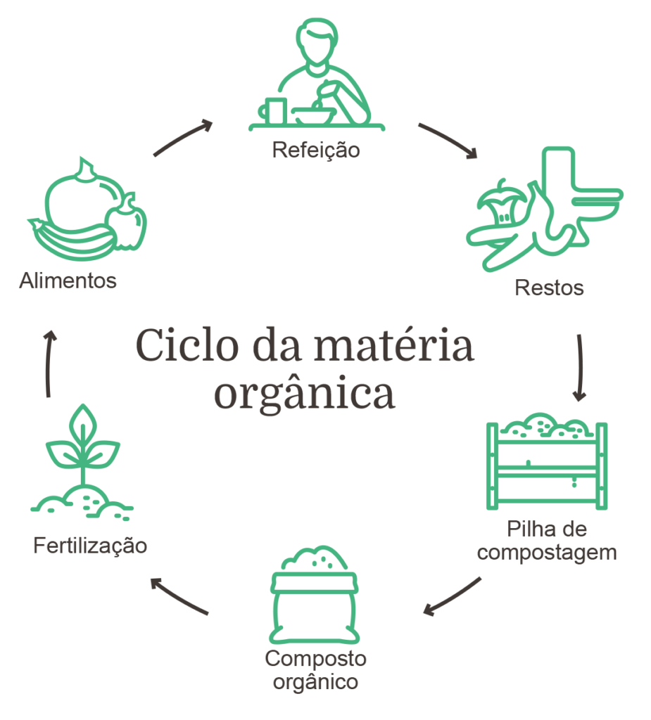 Gráfico do ciclo da matéria orgânica
