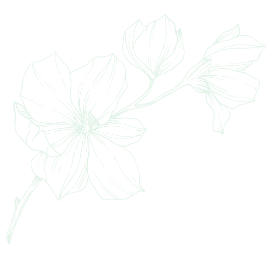Ilustração de uma flor
