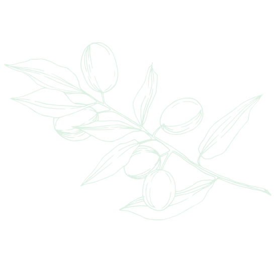 Ilustração de uma planta